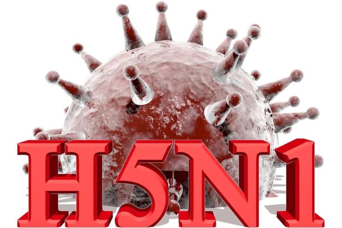 H5N1 Outbreak: Cambodia Reports 12th Case in 2025 — Early Symptoms and What to Watch For